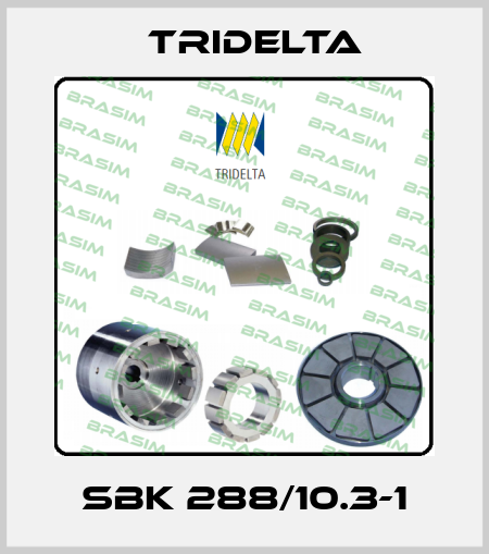 SBK 288/10.3-1 Tridelta