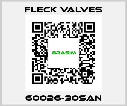 60026-30SAN Fleck Valves