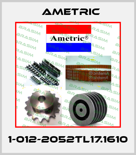 1-012-2052TL17.1610 Ametric