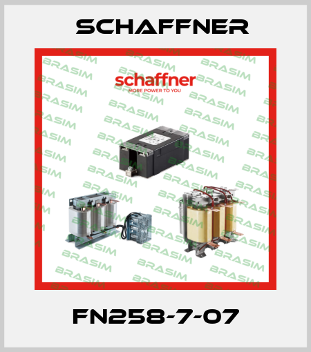 FN258-7-07 Schaffner