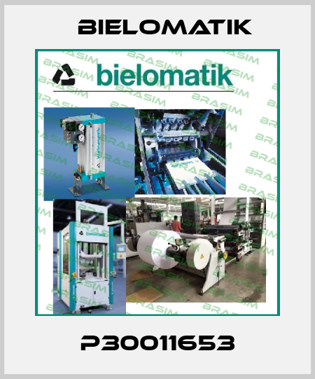 P30011653 Bielomatik