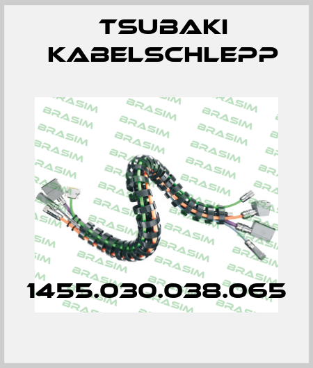 1455.030.038.065 Tsubaki Kabelschlepp