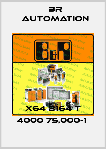 X64 8164 T 4000 75,000-1  Br Automation