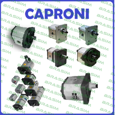 coupling for 10A5X026 Caproni