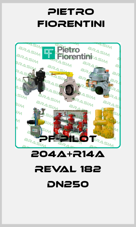 PF-PILOT 204A+R14A REVAL 182 DN250 Pietro Fiorentini