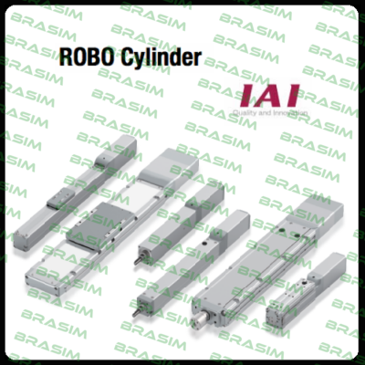RCP2-RA4C-I-42P-2.5-100-P1-M Robo cylinder