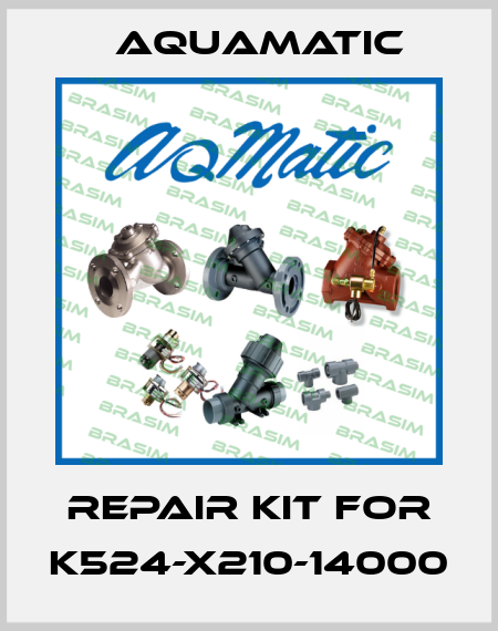 Repair kit for K524-X210-14000 AquaMatic