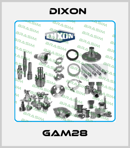 GAM28 Dixon