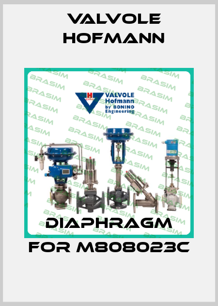 Diaphragm for M808023C Valvole Hofmann