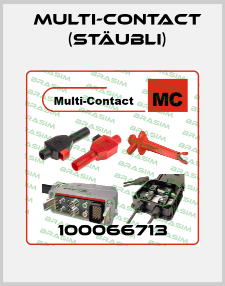 100066713 Multi-Contact (Stäubli)