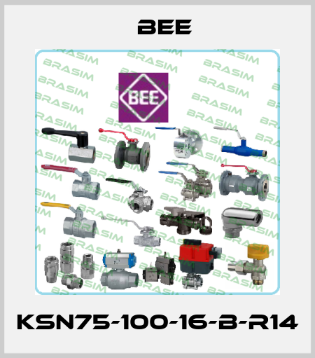 KSN75-100-16-B-R14 BEE