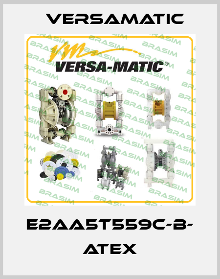 E2AA5T559C-B- ATEX VersaMatic
