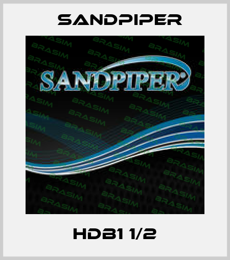 HDB1 1/2 Sandpiper