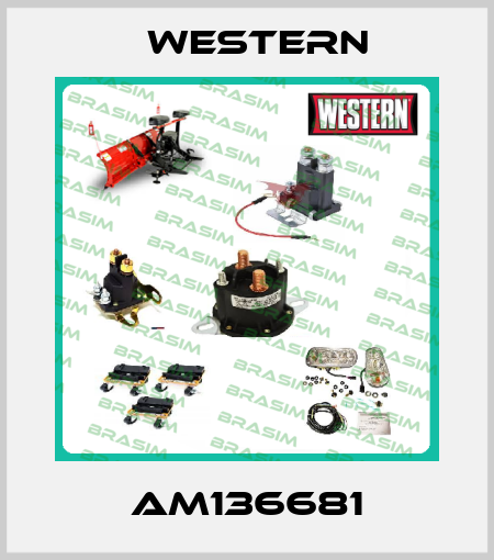 AM136681 Western
