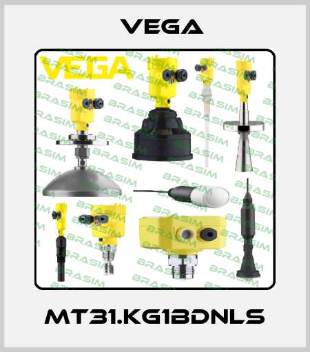MT31.KG1BDNLS Vega