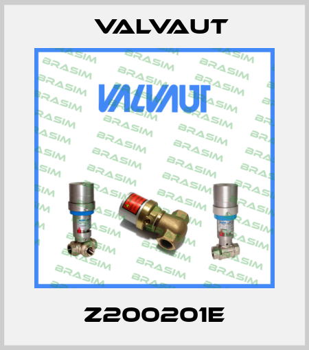 Z200201E Valvaut