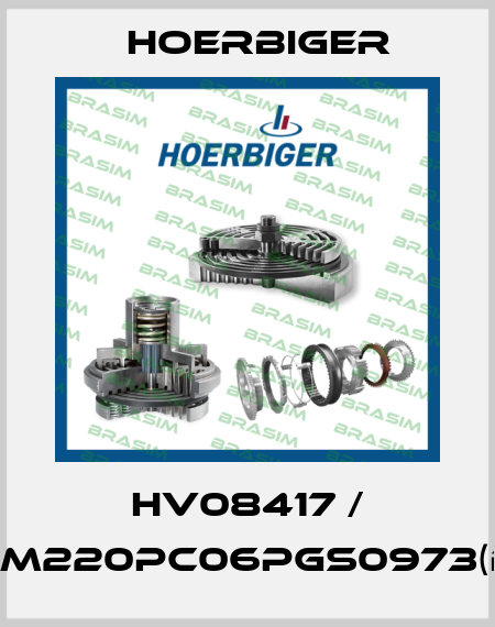 HV08417 / SAM220PC06PGS0973(B2) Hoerbiger