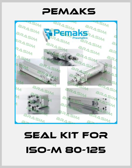seal kit for ISO-M 80-125 Pemaks
