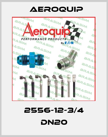 2556-12-3/4 DN20 Aeroquip