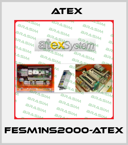 FESM1NS2000-ATEX Atex
