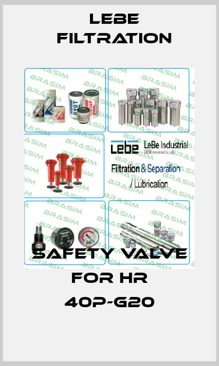 SAFETY VALVE FOR HR 40P-G20 Lebe Filtration