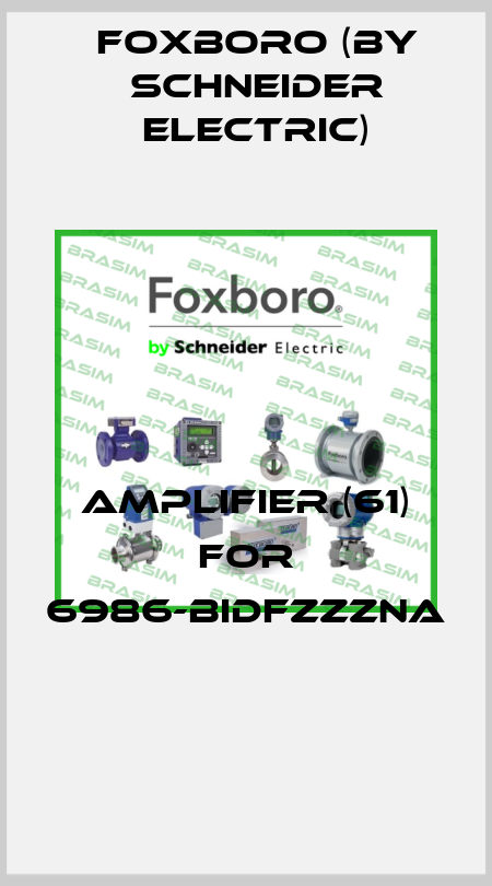 amplifier (61) for 6986-BIDFZZZNA  Foxboro (by Schneider Electric)