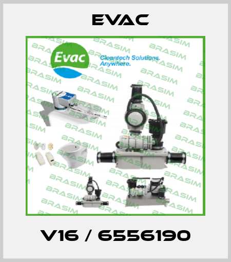 V16 / 6556190 Evac