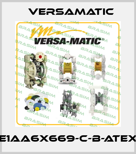 E1AA6X669-C-B-ATEX VersaMatic
