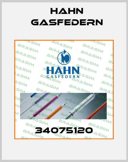 34075120 Hahn Gasfedern