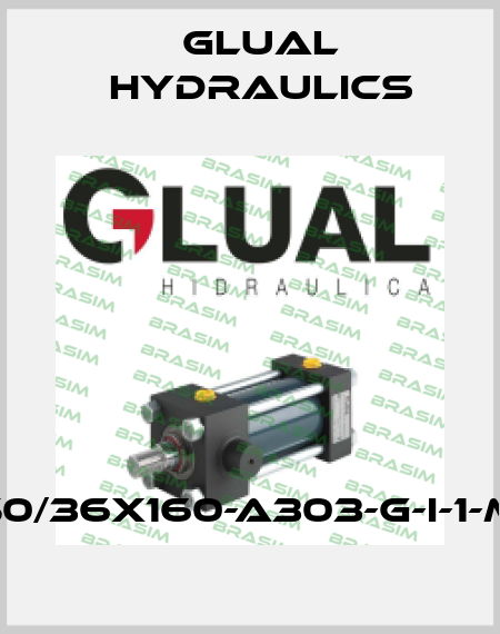 K0-50/36X160-A303-G-I-1-M-20 Glual Hydraulics