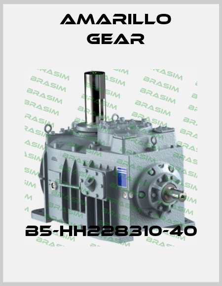 B5-HH228310-40 Amarillo Gear