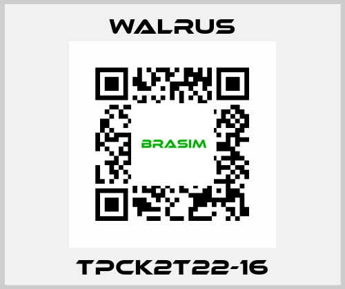 TPCK2T22-16 Walrus