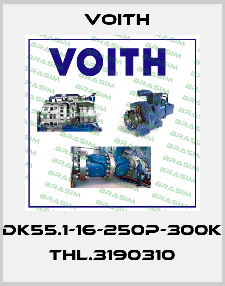 DK55.1-16-250P-300K  THL.3190310 Voith