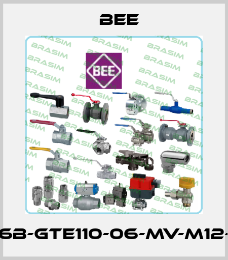 AKP75-50-16B-GTE110-06-MV-M12-DSD-SD-SV BEE