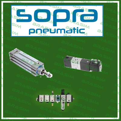 CG.106.32.100 Sopra-Pneumatic