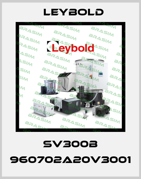 SV300B 960702A20V3001 Leybold
