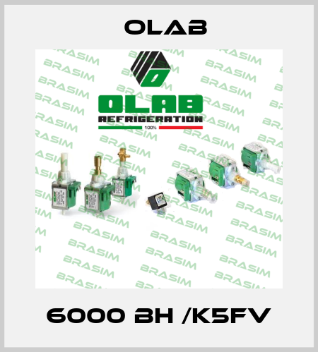 6000 BH /K5FV Olab