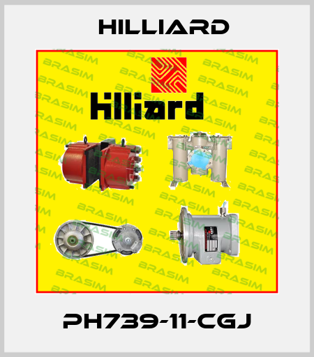 PH739-11-CGJ Hilliard