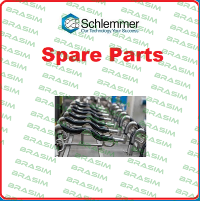 EA1000-010525 Schlemmer