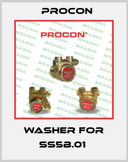 Washer for SS5B.01  Procon