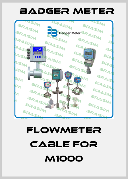flowmeter cable for M1000 Badger Meter