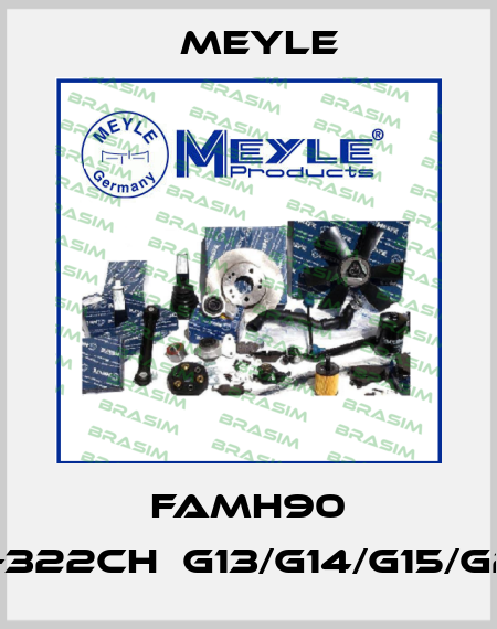 FAMH90 E21-J19-322CH，G13/G14/G15/G22/G23 Meyle