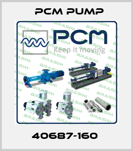 40687-160  PCM Pump