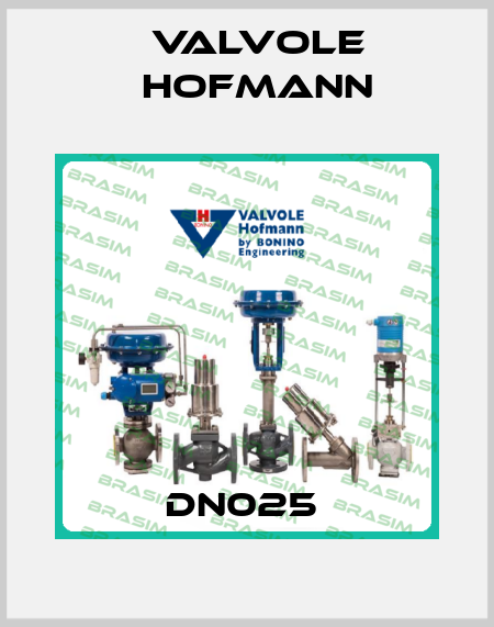 DN025  Valvole Hofmann