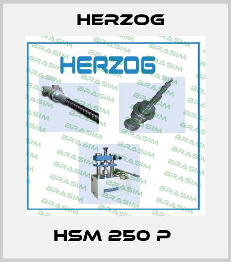 HSM 250 P  Herzog