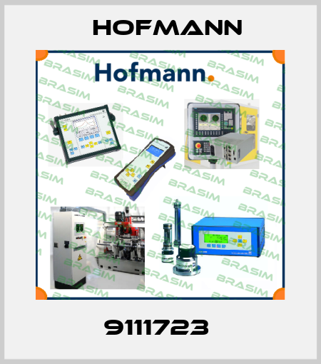 9111723  Hofmann