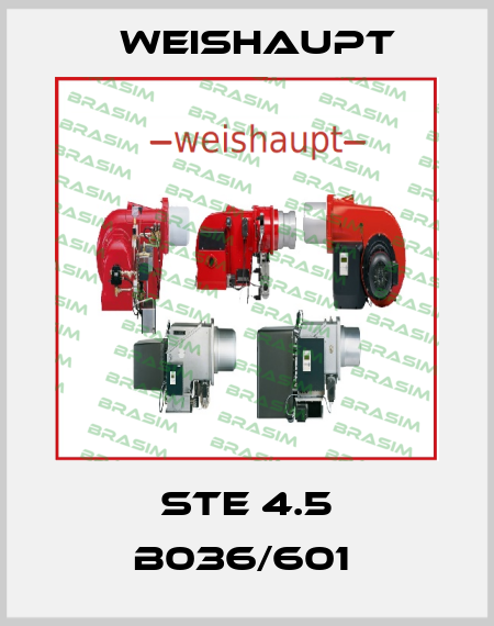 STE 4.5 B036/601  Weishaupt