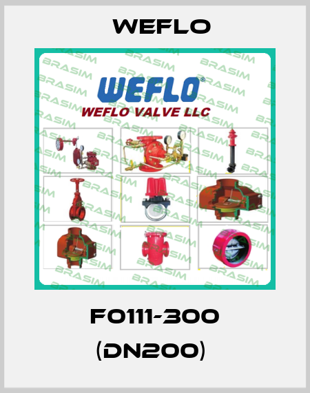 F0111-300 (DN200)  Weflo
