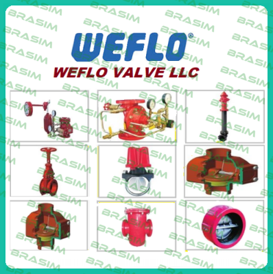 F0111-300 (DN300) Weflo