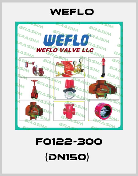 F0122-300 (DN150)  Weflo